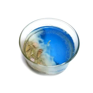 شمع طرح اقیانوس